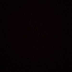 Meet your Posher, Bryce